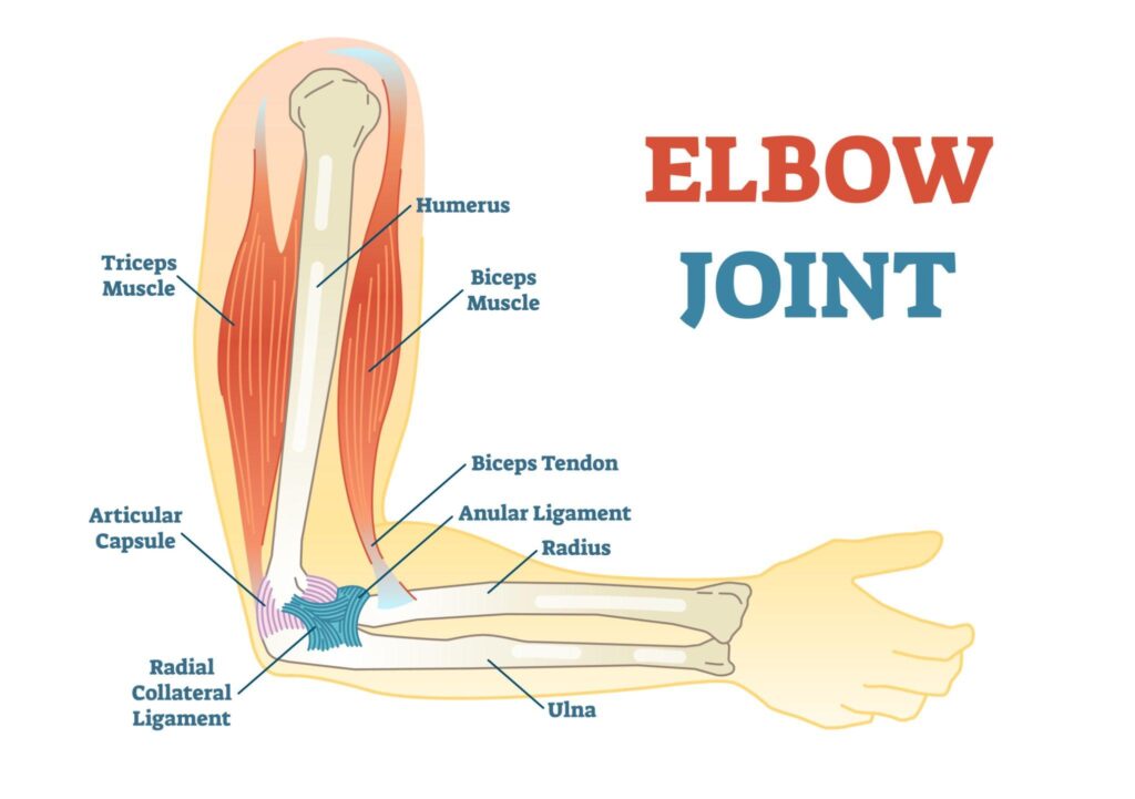 Elbow Injuries